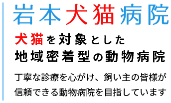 岩本犬猫病院